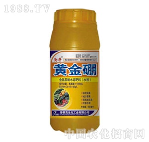 ���ʿ�-�S����