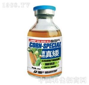 �²�����-�氫