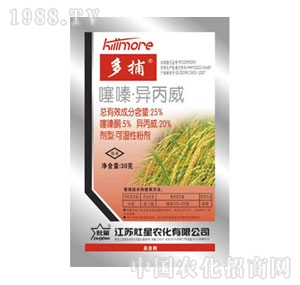 ����-��ຮ�����