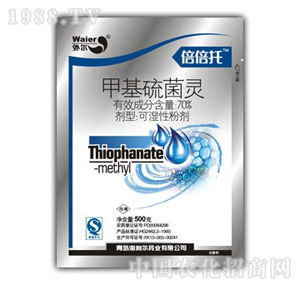 ������-������