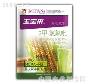 �p�S����-�񌚁�(l��i)