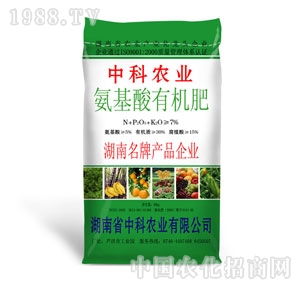 �п�-�������ЙC��