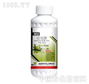 �PԴ��-��x������