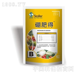 ������-��ʵ�