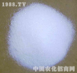 �}�����F(tu��n)-�Ȼ��