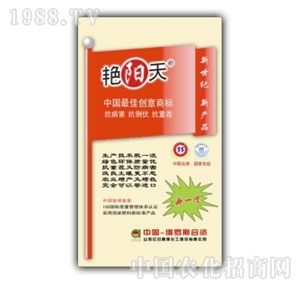 �G�(y��ng)����һ��384�I(y��ng)�B(y��ng)���(f��)�Ϸ�