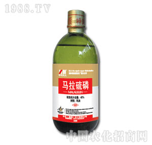 �л�����-45%�R������