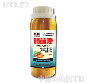 �л�����-25%�����