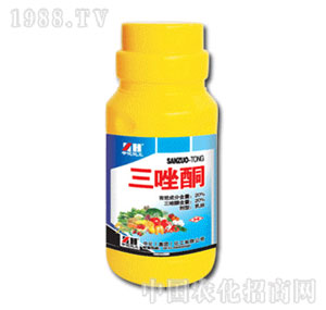 �л�����-20%����ͪ