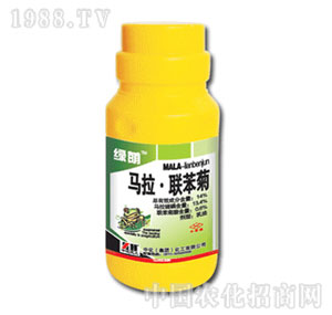 �л�����-�G�a