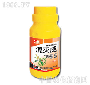 �л�����-50%�����