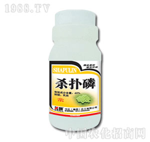 �л�����-40%������