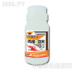 �л�����-����