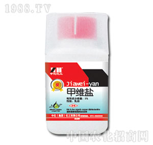 �л�����-5%�׾S�}