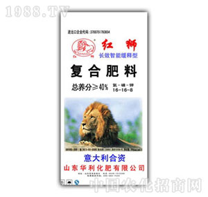 ��������-ͨ����16-16-8