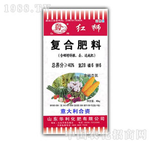 ��������-�������\28-6-6