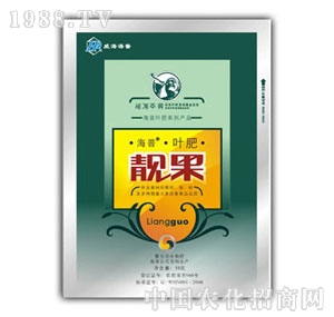 �n��-����(sh��)�n