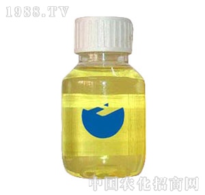 �n��-�˾���ԭˎ