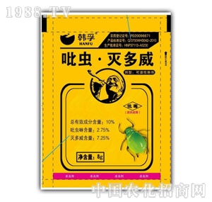 �n��-���x�����