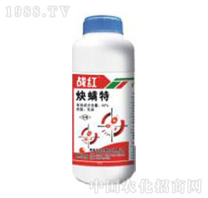 �Gɫ�r(n��ng)�A-��(zh��n)�t