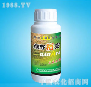 �ٰ�-�GҰ����