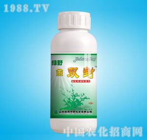 �ٰ�-50%�GҰ���p��