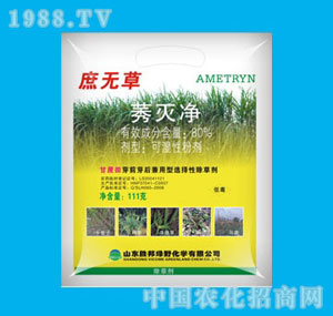 �ٰ�-80%��o��