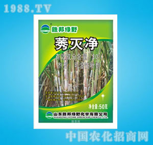 �ٰ�-80%ݬ���