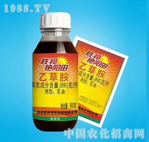 �ٰ�-�G���