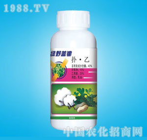 �ٰ�-40%�w�z