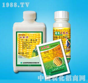 �ٰ�-���r(n��ng)˼