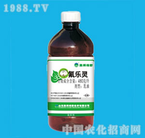 �ٰ�-����(l��)�`