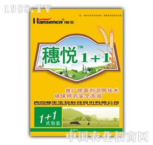 ���-�됂1+1