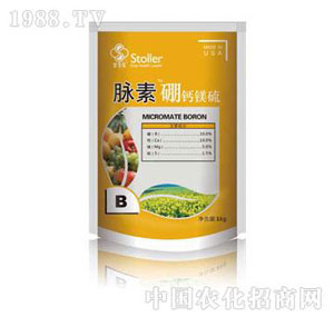 ������-�}����