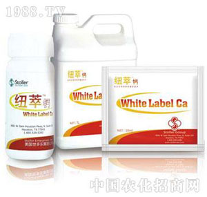 ������-�~���}