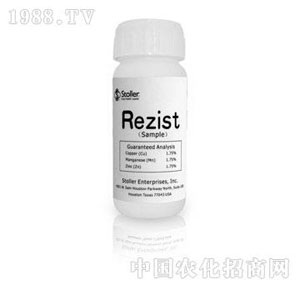 ������-�g��