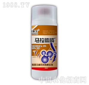 ������-45%�R������