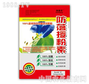 ������-�����ڷ���