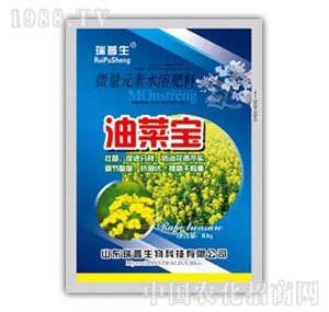 ������-�Ͳˌ�