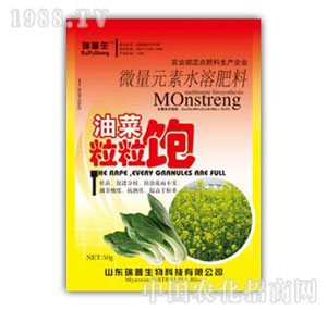 ������-�Ͳ������