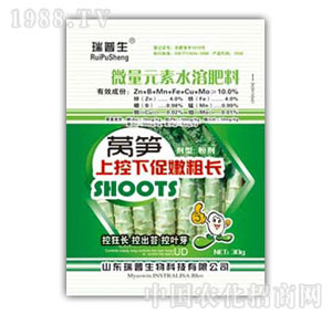 ������-�n�S�Ͽ��´��۴��L