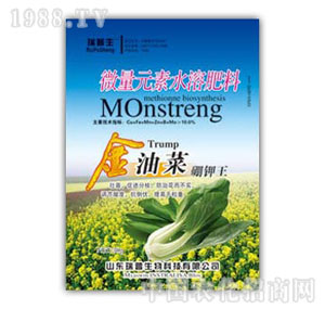 ������-���Ͳ������