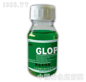 ������-�S��߽j(lu��)��