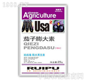 ������-���������