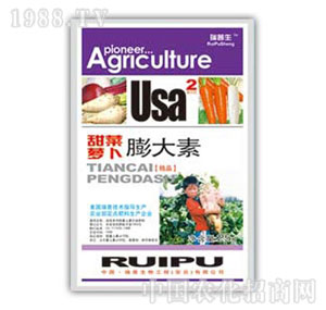 ������-����}�������