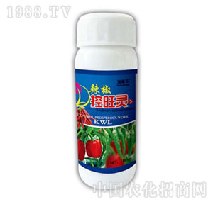 ������-���������`