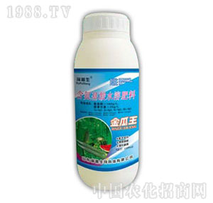 ������-�����