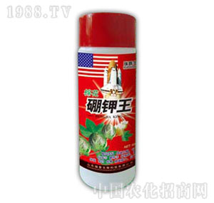 ������-�����