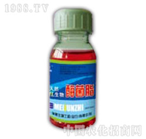 ������-��Ȼ����ø��֬