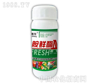 ������-���r��